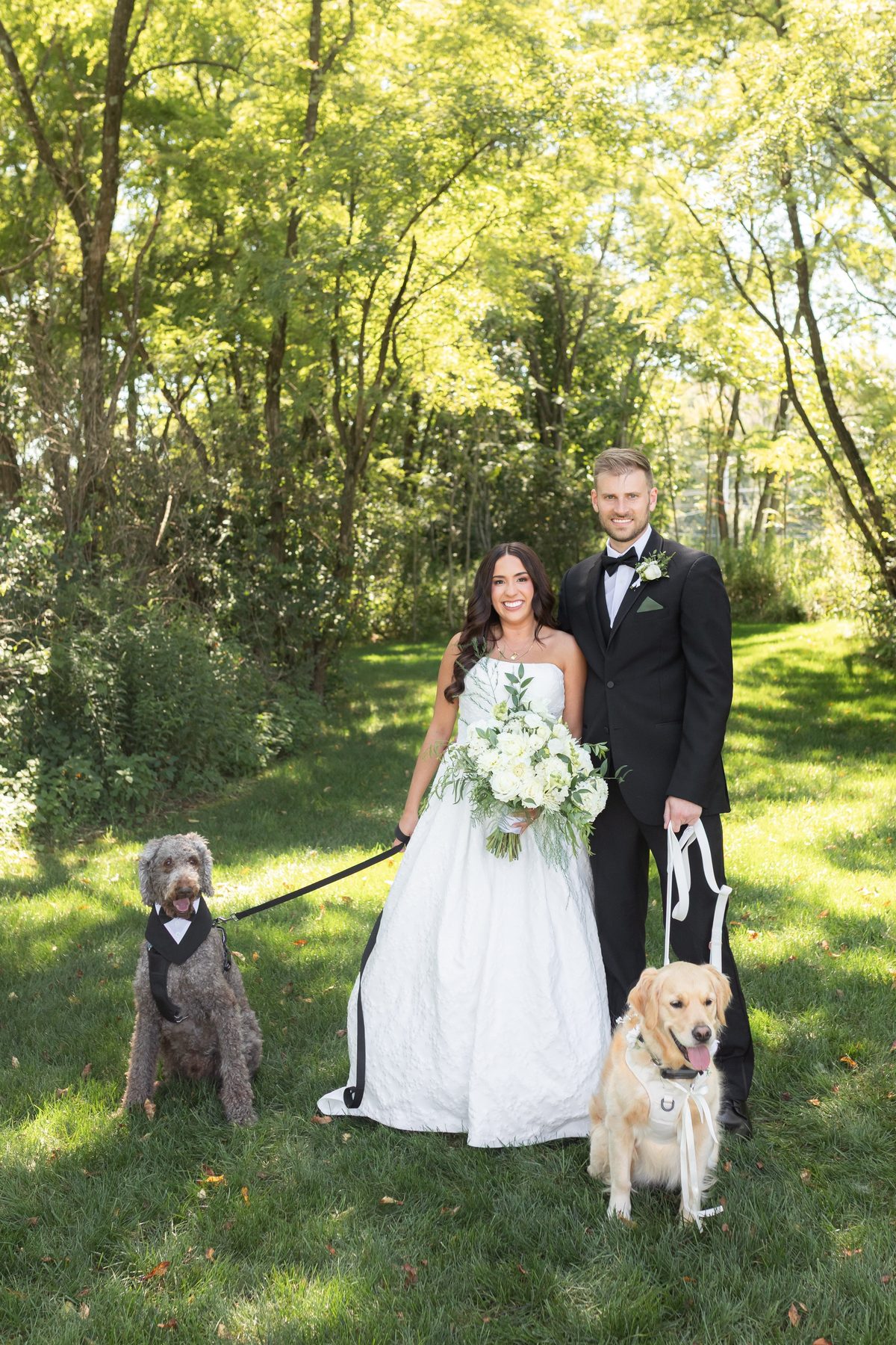 Bride and groom with their dogs on the wedding day — GISS Beauty